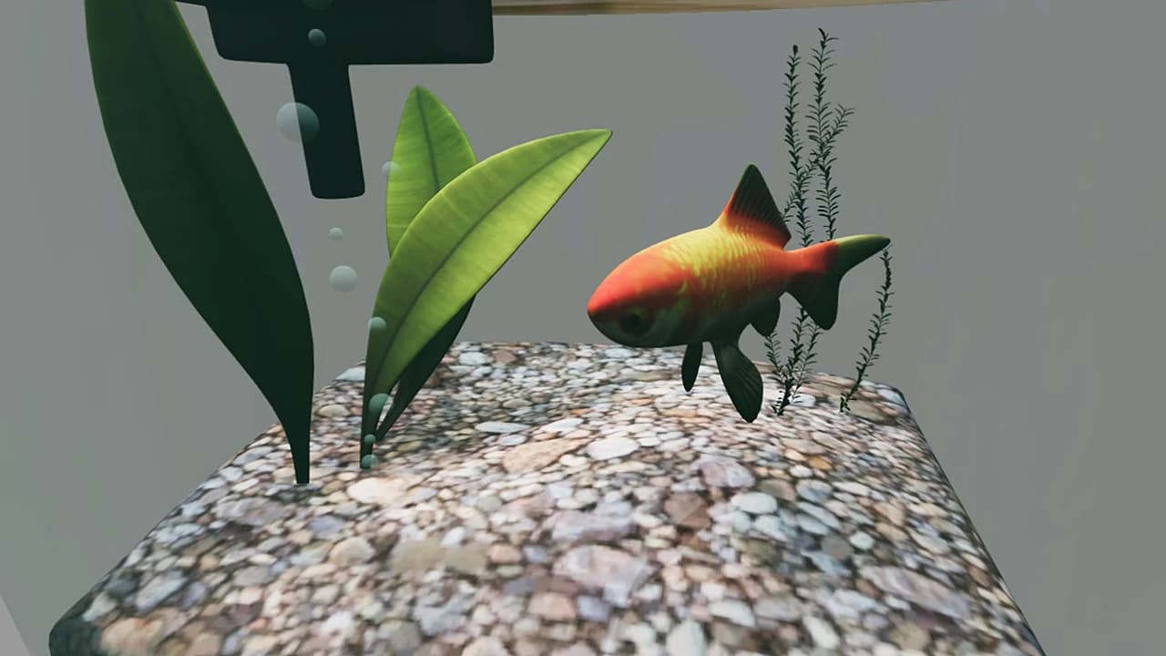 AQUARIUM 5