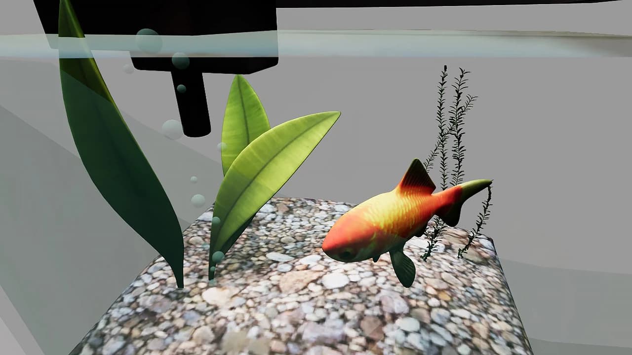 AQUARIUM 4