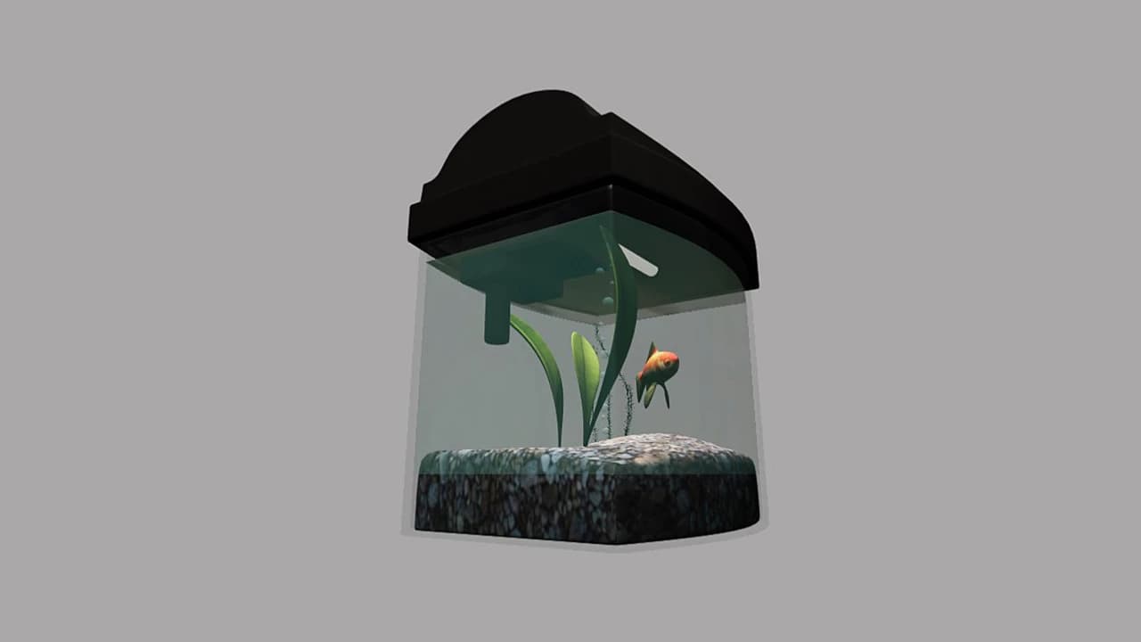AQUARIUM 3