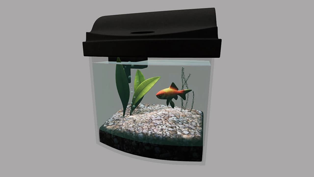 AQUARIUM 2
