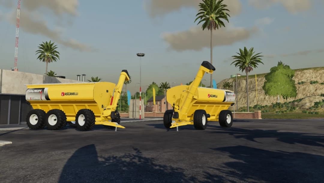 ASCANELLI AUGER 3