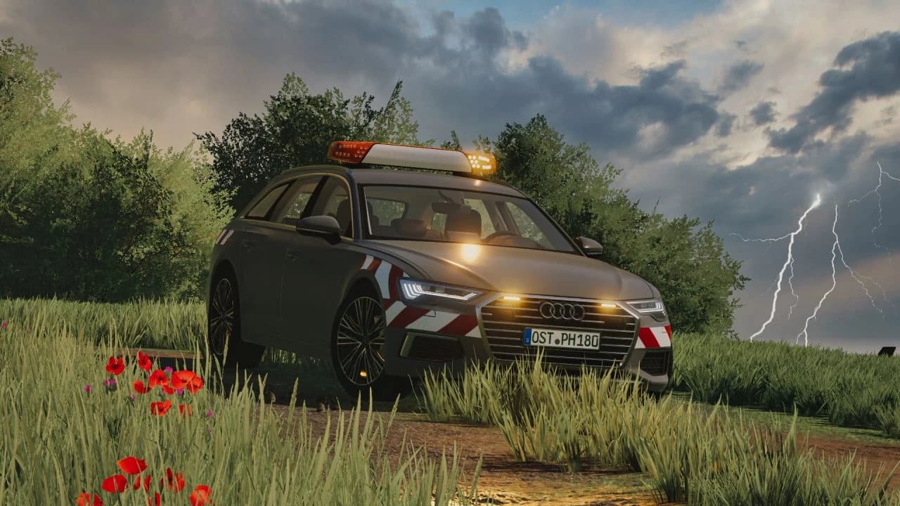 AUDI A6 AVANT 2019 5