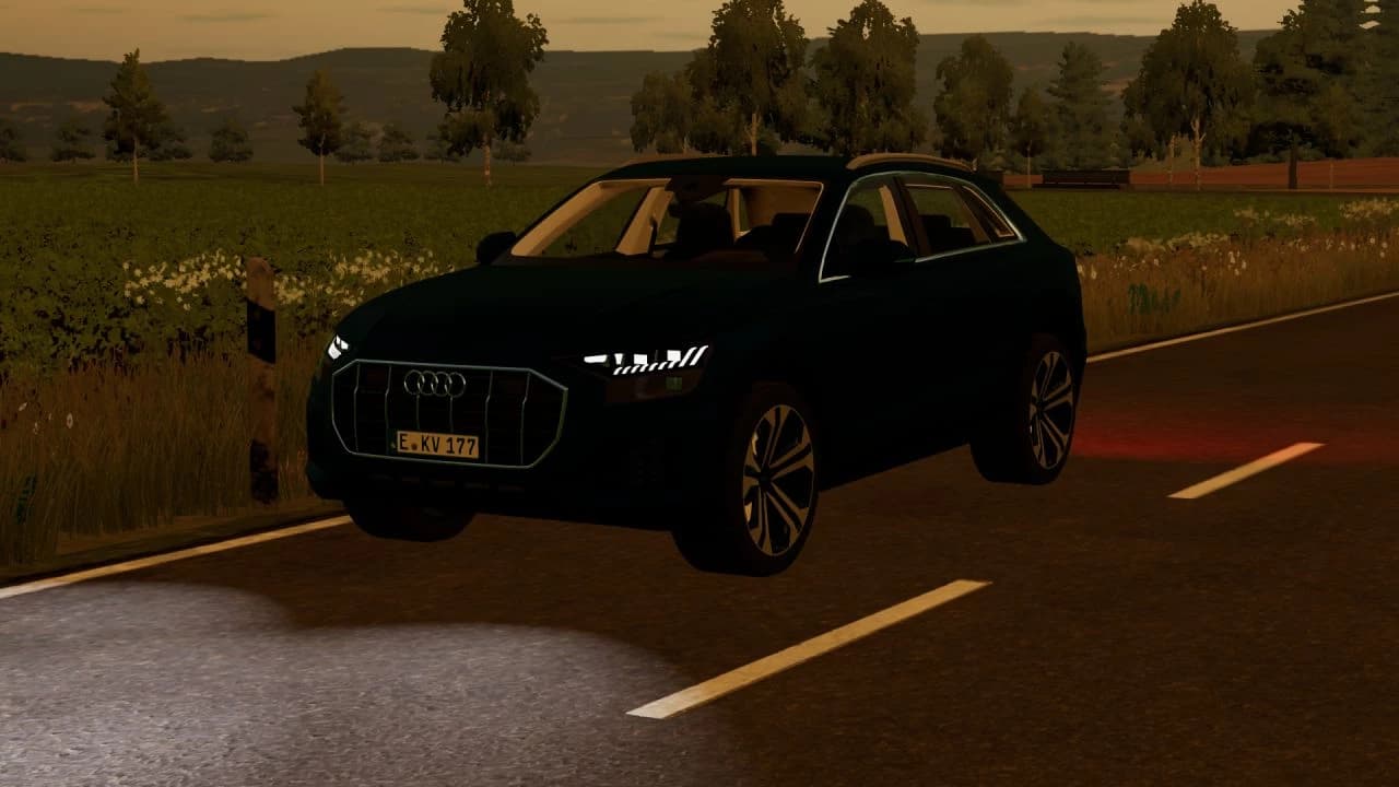 AUDI Q8 2019 5