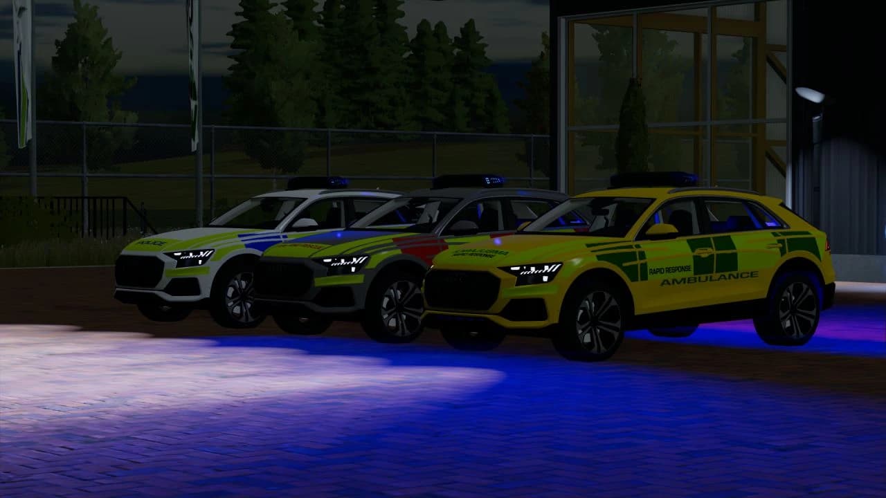 AUDI Q8 2019 2