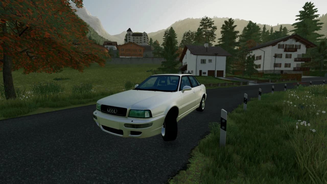 AUDI RS2 3
