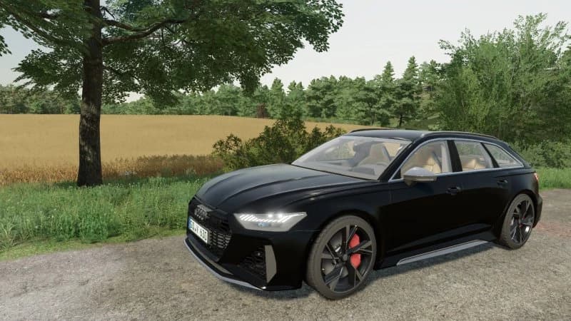 AUDI RS6 AVANT 2020 3