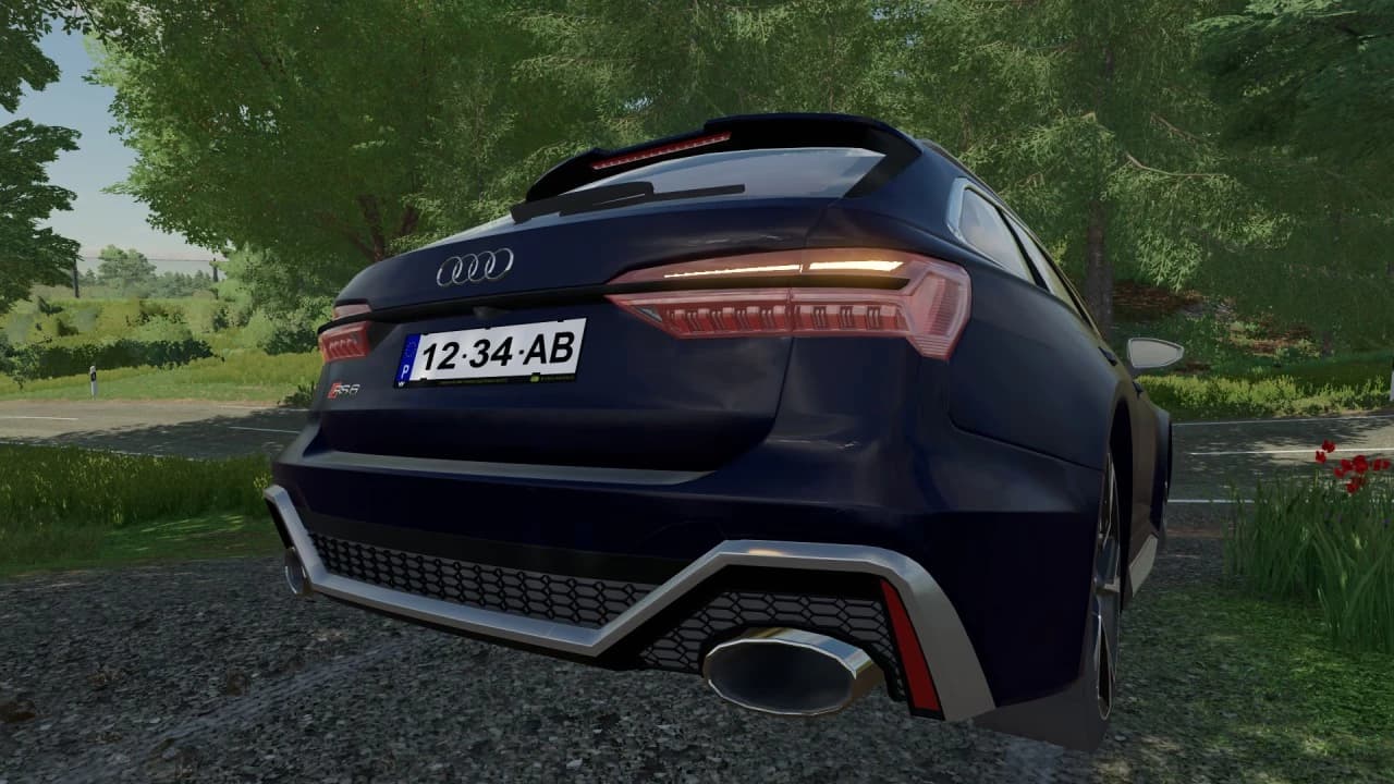 AUDI RS6 AVANT C8 4
