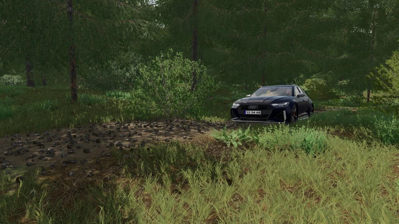 AUDI RS6 AVANT C8