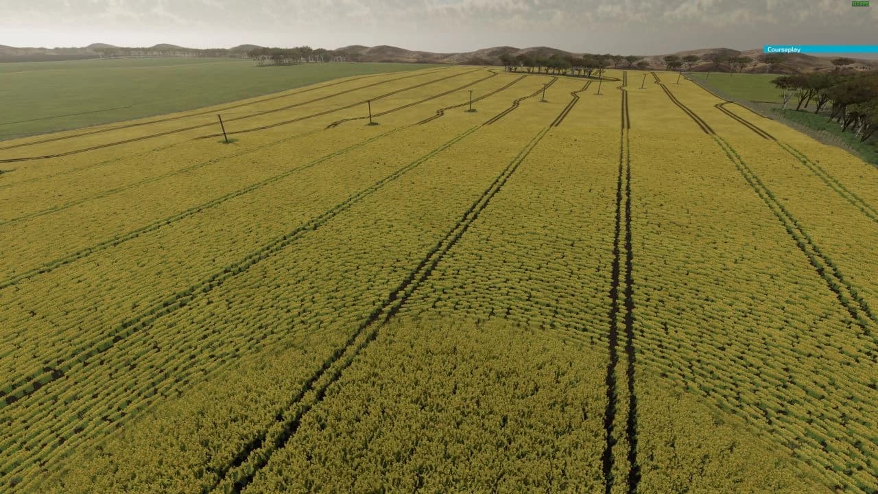AUSSIE FARMS 22 3