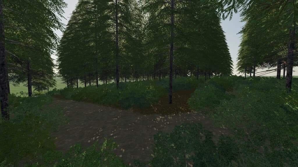 AVON VALLEY 4