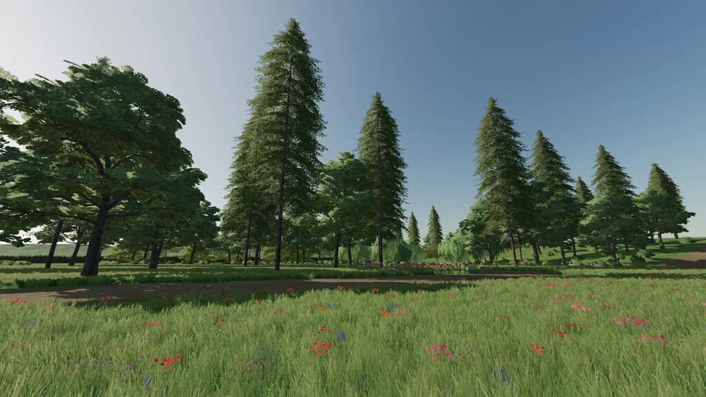 AVON VALLEY 5
