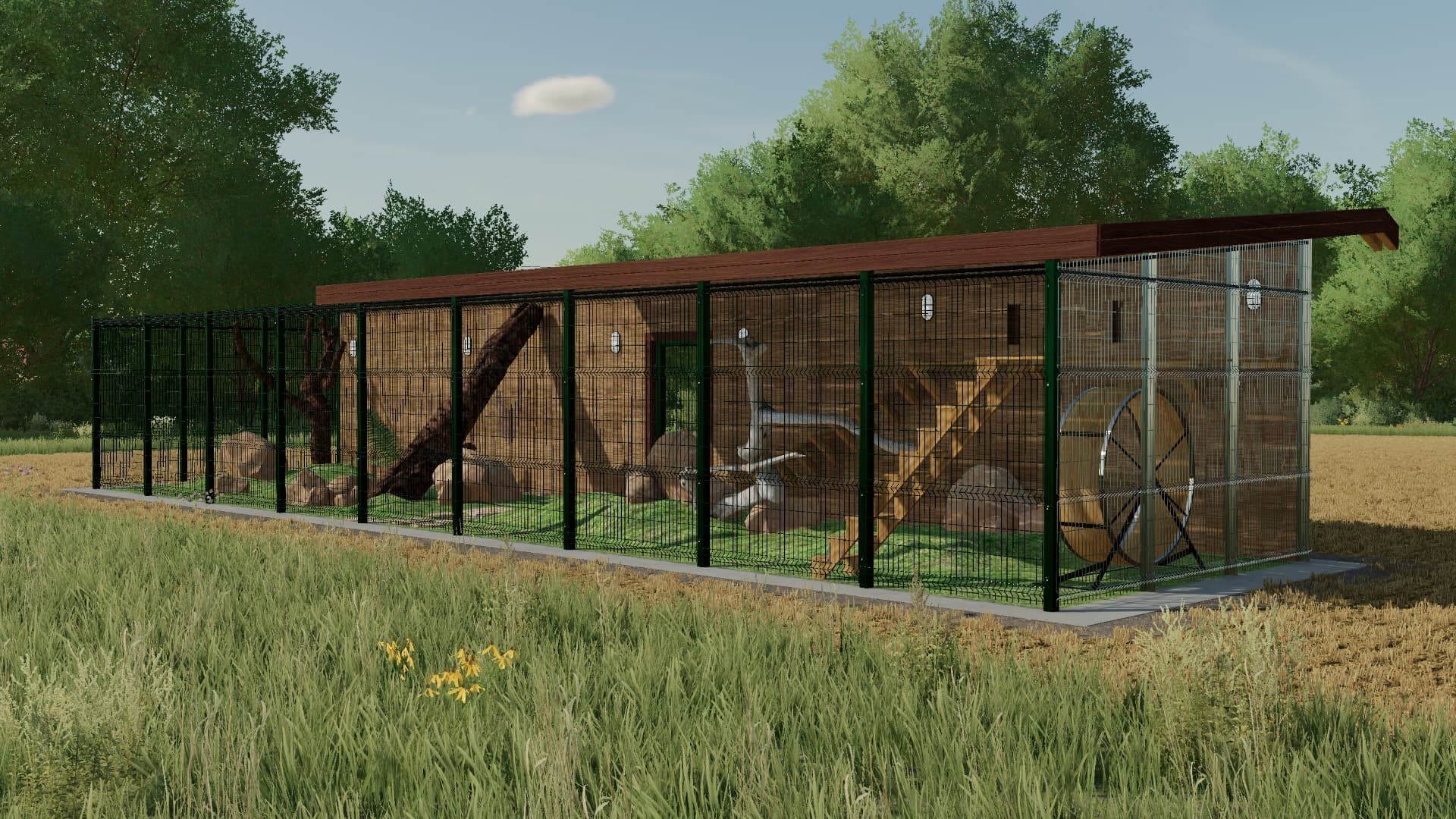 Animal Cages 5