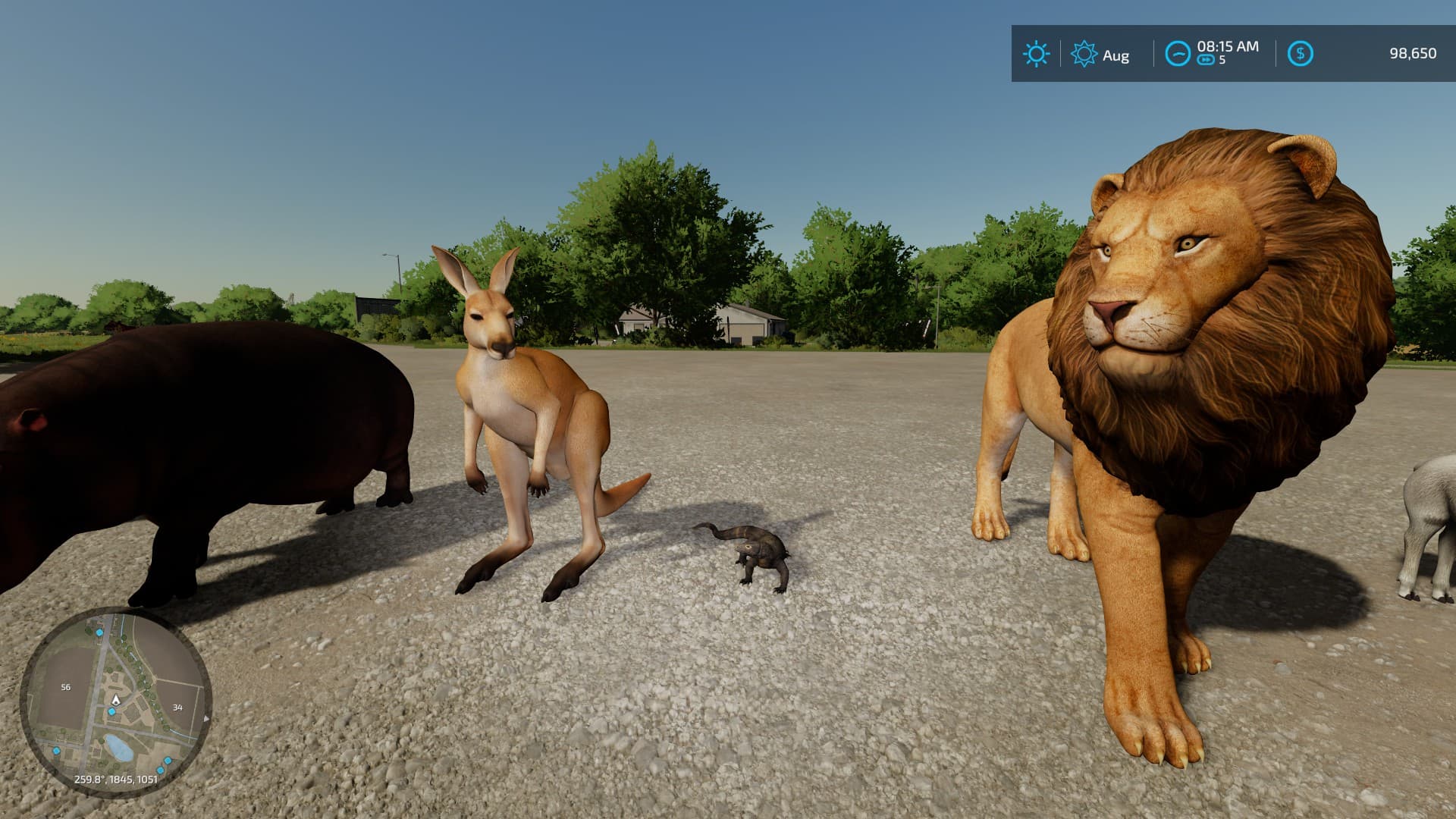 Animals 4