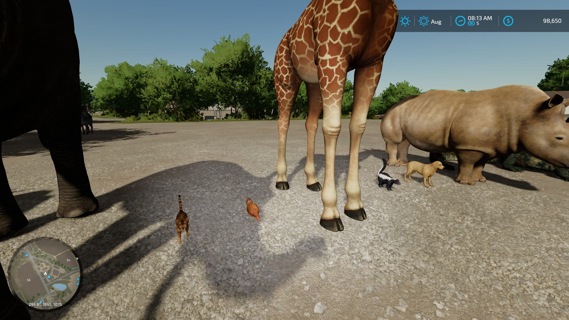 Animals 3