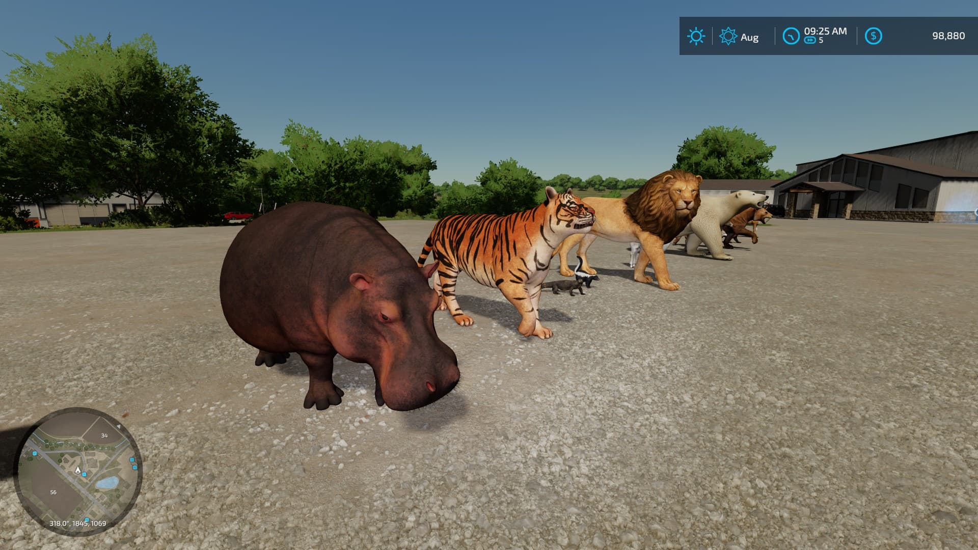 Animals
