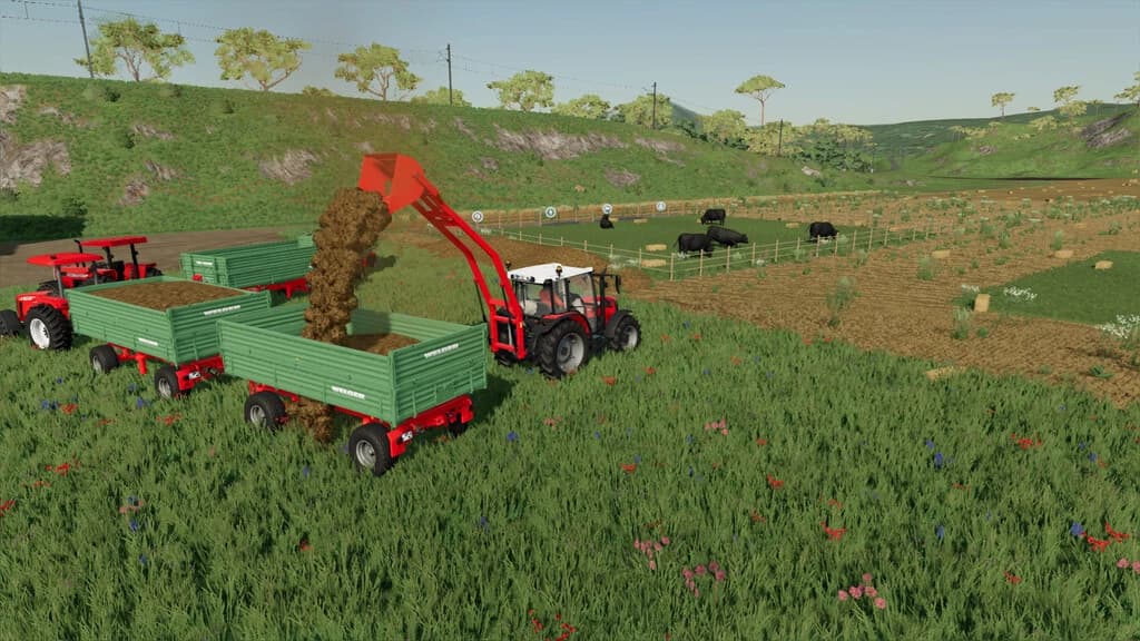BACK LOADER PACK 2