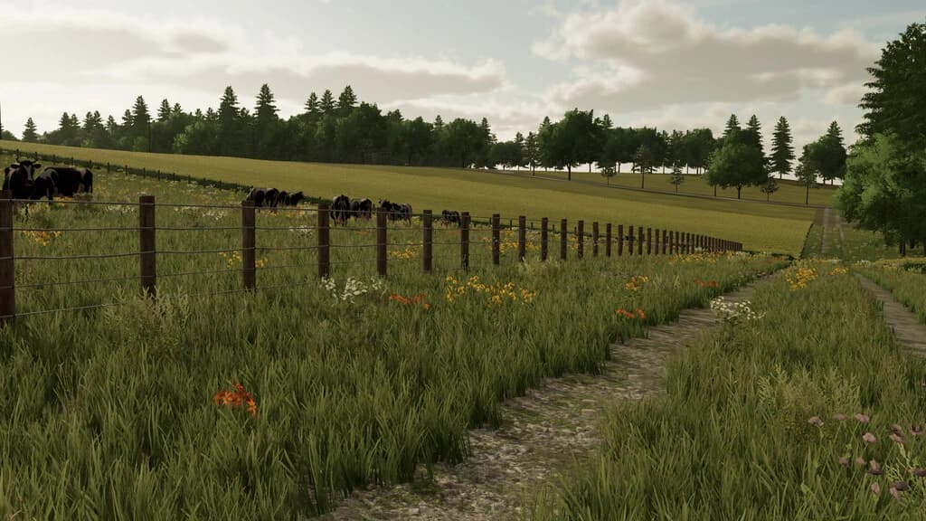 BACK ROADS COUNTY 4