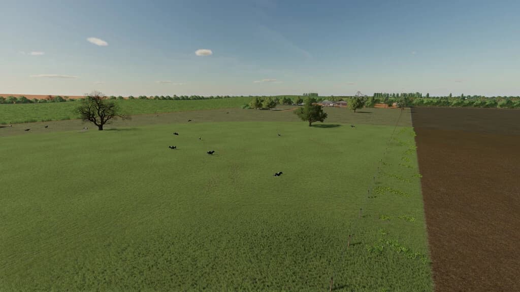BACURI FARM 2K22 5