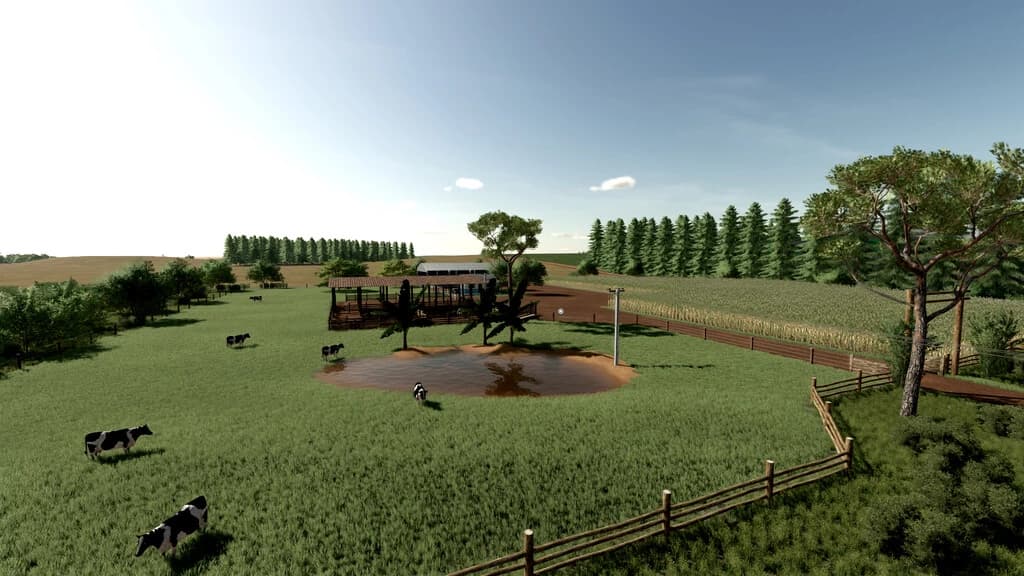 BACURI FARM 2K22 4