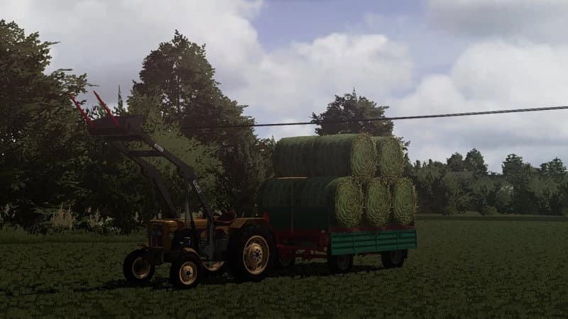 BALE TEXTURE 2