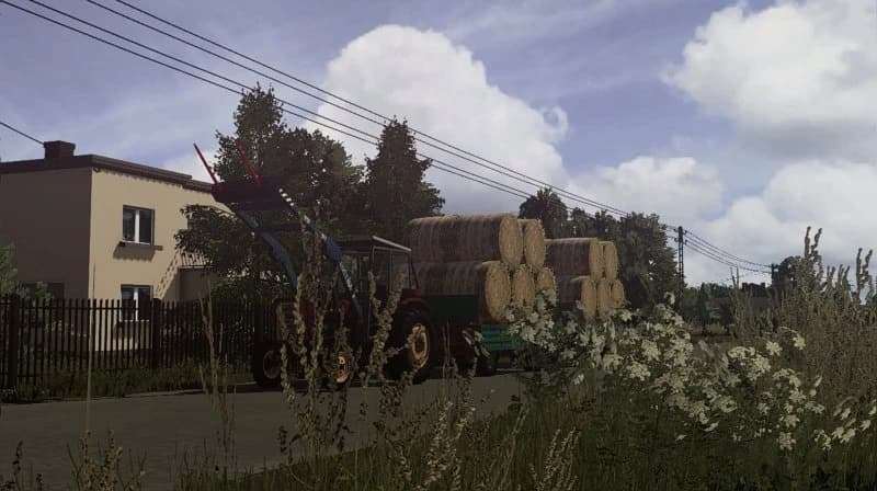 BALE TEXTURE