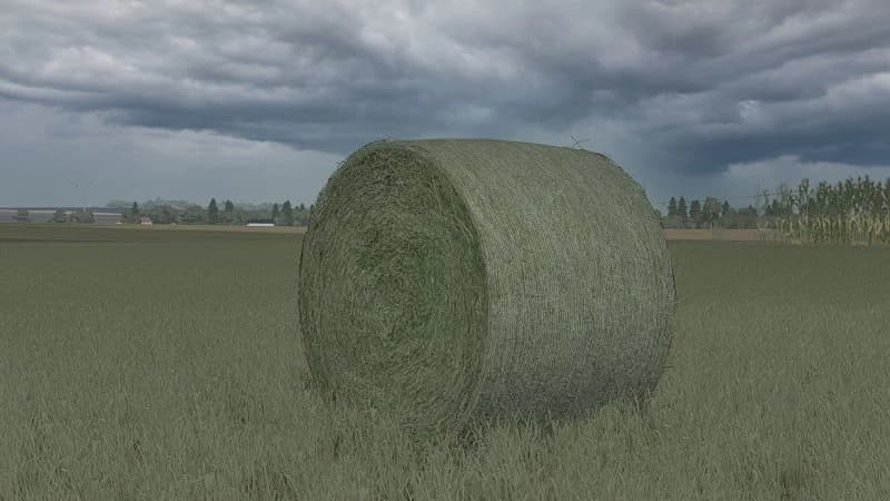 BALES 3