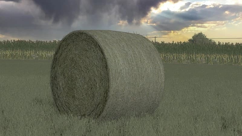 BALES 2