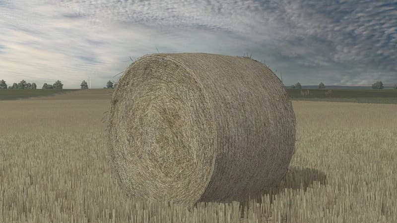 BALES