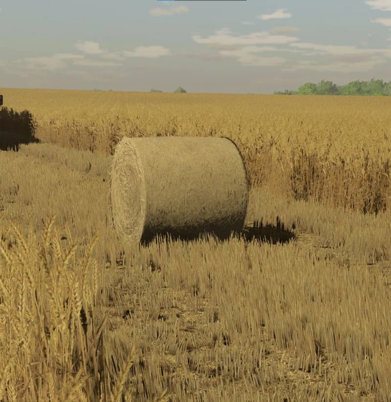BARLEY AND WHEAT TEXTURES 2