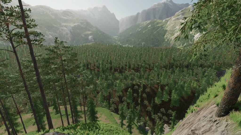 BEAR ROCK LOGGING 5