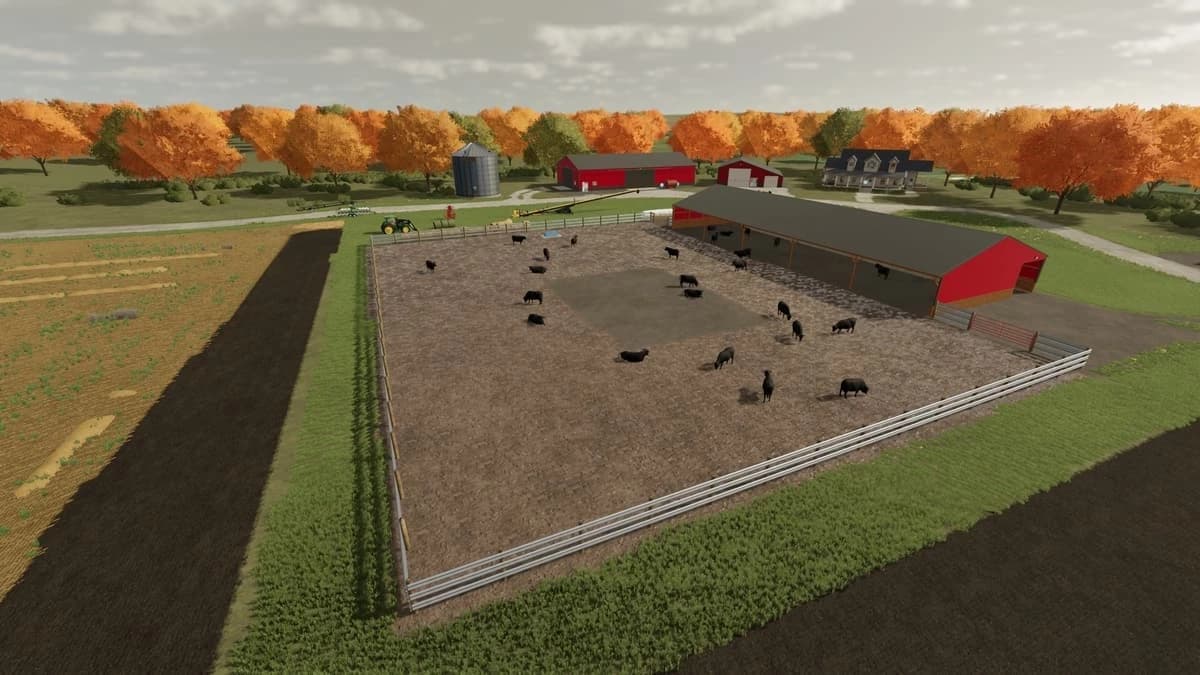 BEEF SHED