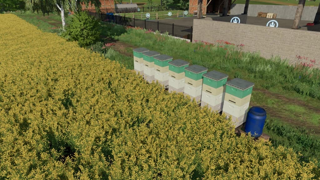 BEEHIVES PACK 3