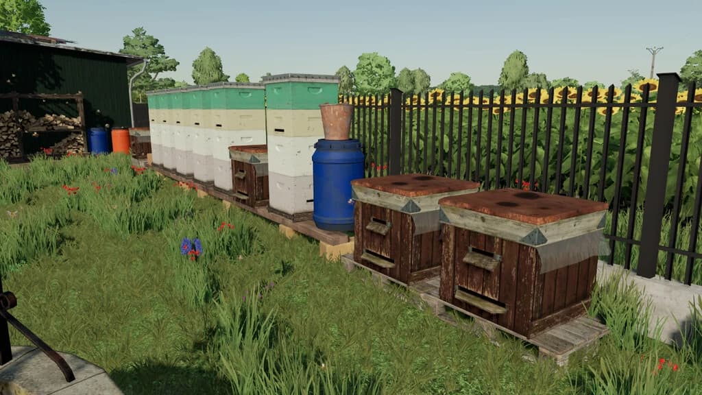 BEEHIVES PACK