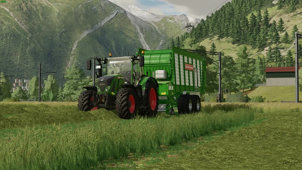 BERGMANN CAREX 38S 3