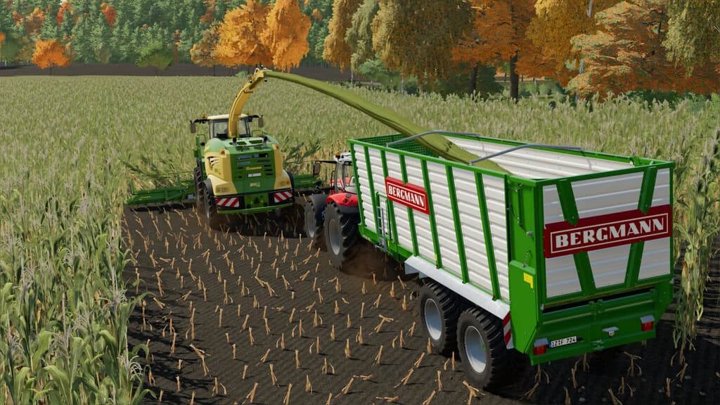 BERGMANN HTW 45