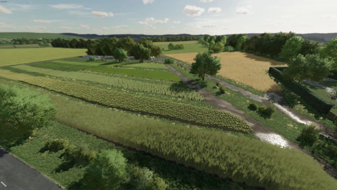 BÉTHEMONT LA FORÊT