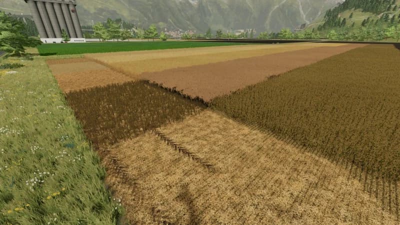 BETTER STUBBLE TEXTURE 4