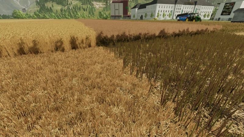BETTER STUBBLE TEXTURE 3