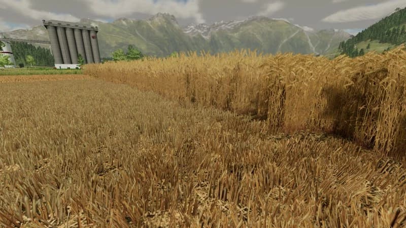BETTER STUBBLE TEXTURE 2