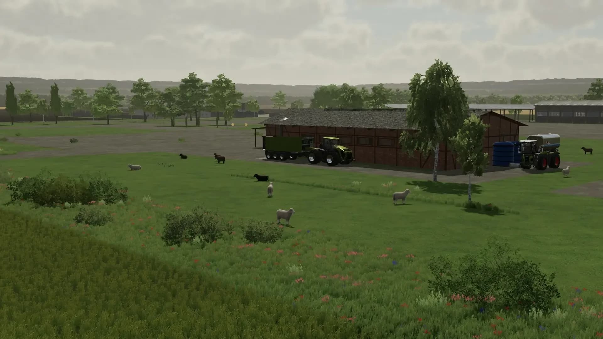 BIG EGG AND WOOL PRODUCTION 2