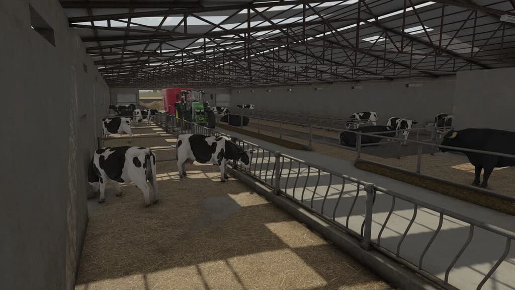 BIG RENOVATED COW BARN 4