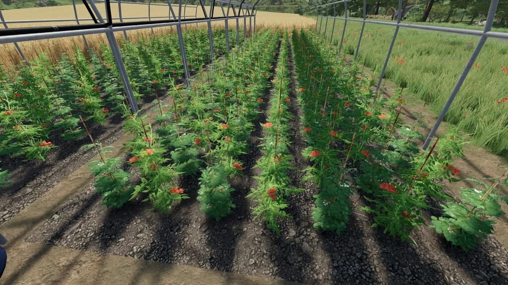 BIO Greenhouses 6
