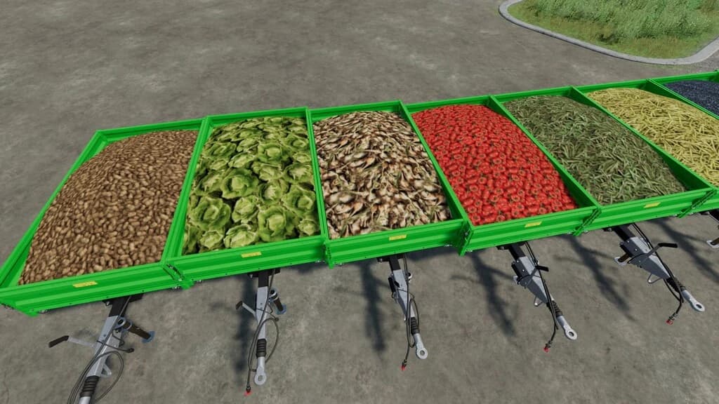 BIO Greenhouses 4