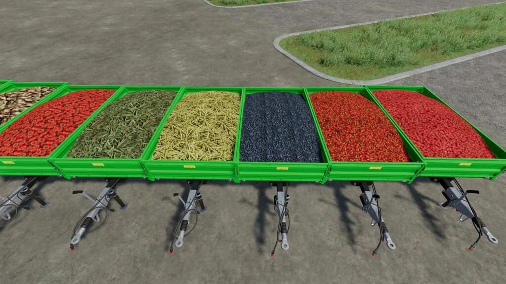 BIO Greenhouses 2