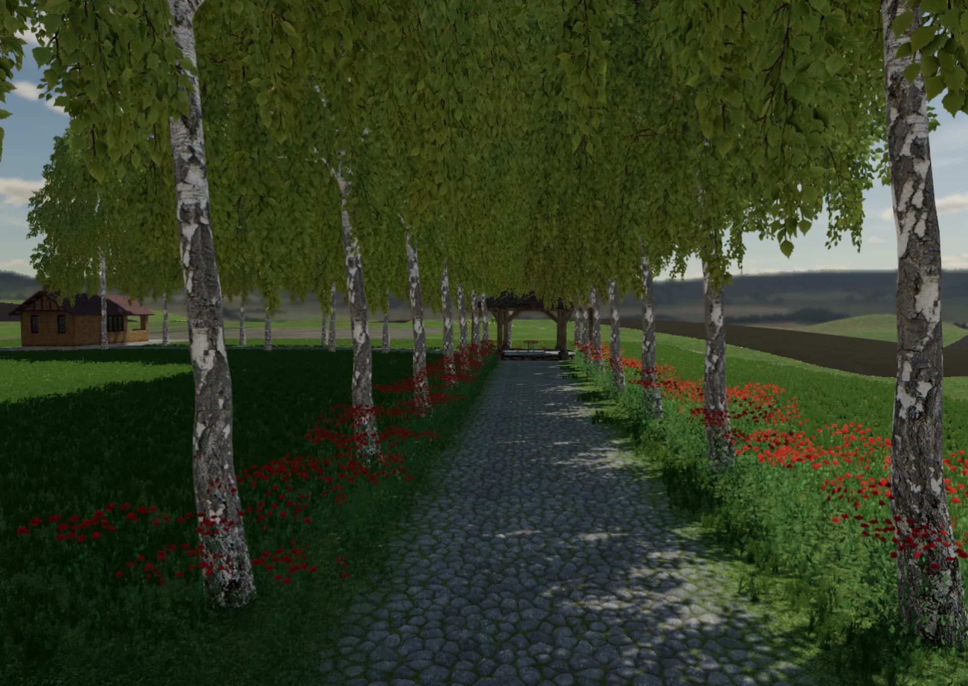 BIRCH HOLLOWS 3