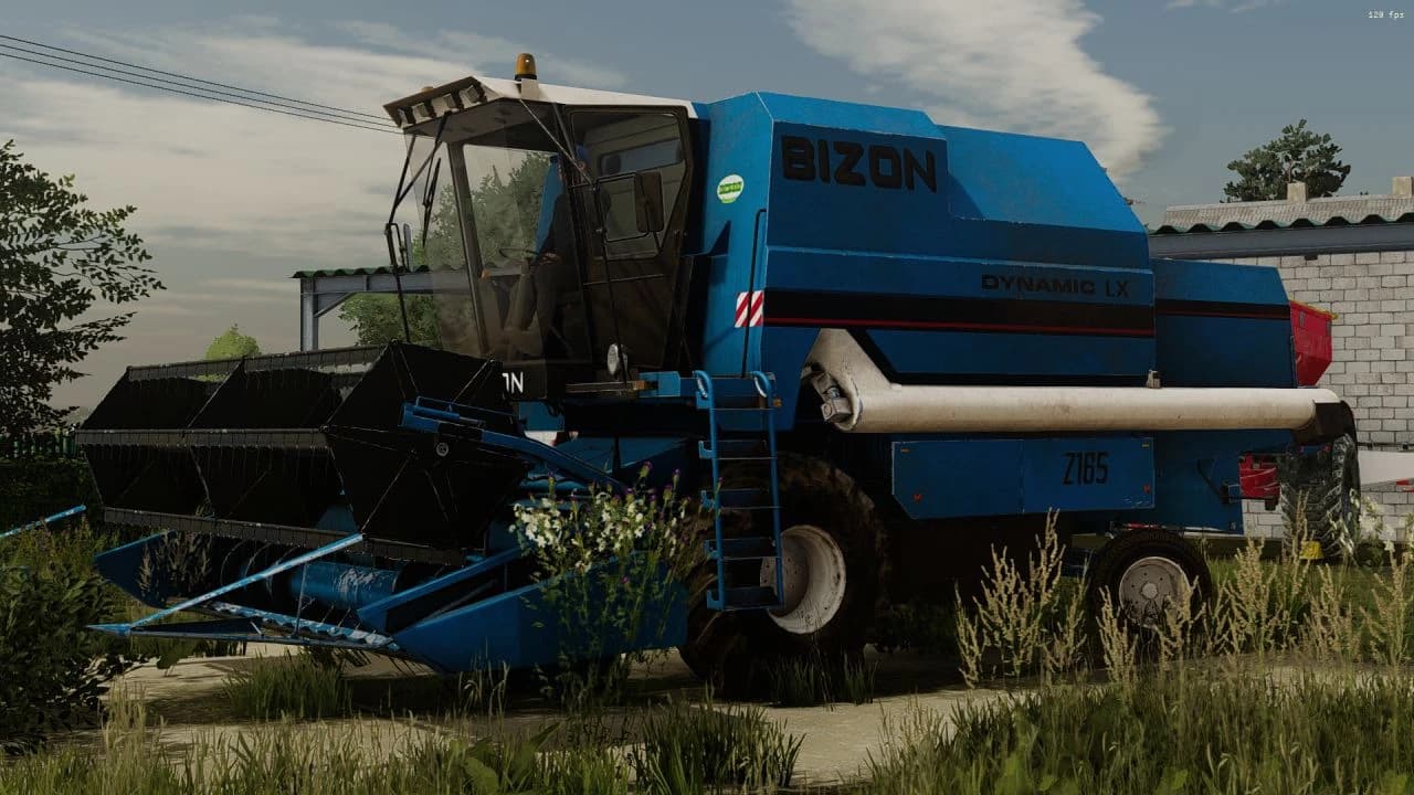 BIZON DYNAMIC EDITED