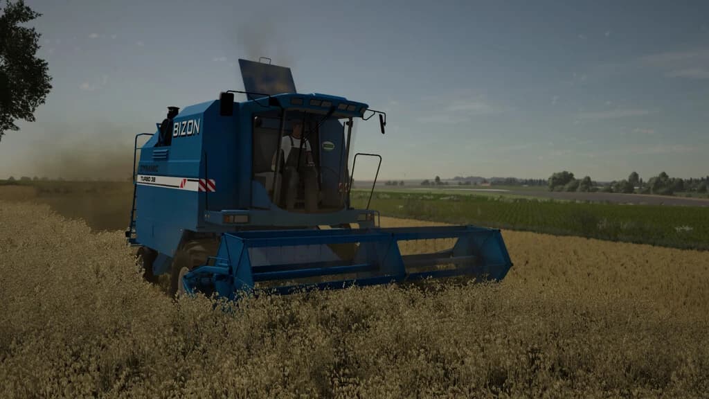 BIZON DYNAMIC 3