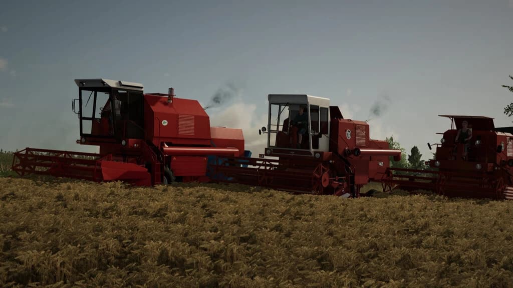 BIZON PACK 4