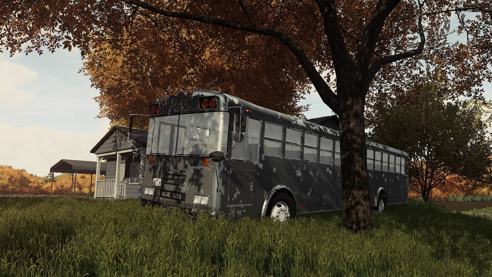 BLUE BIRD SCHOOL BUS 4
