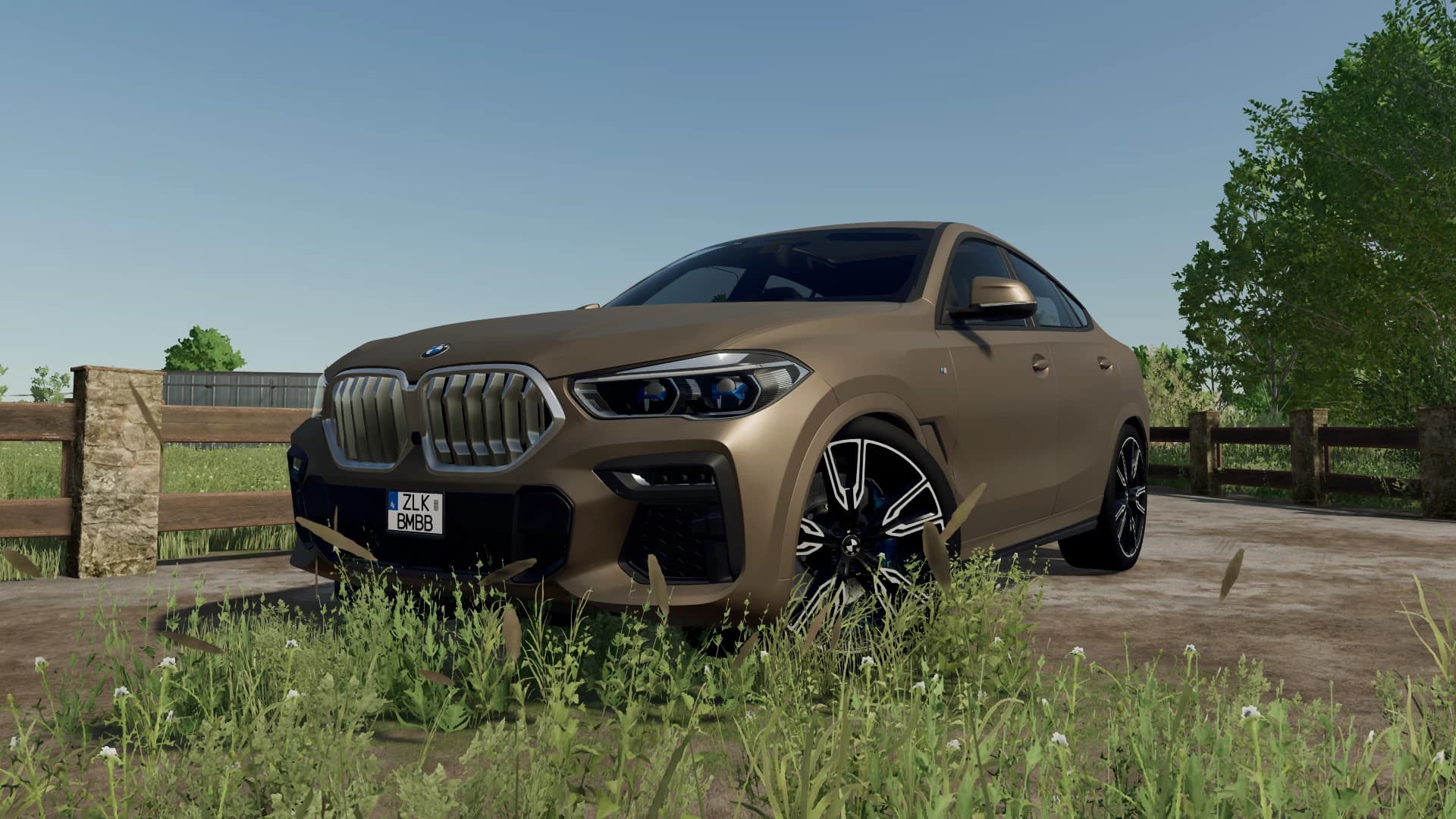 BMW X6 M-Sport 2020 5